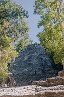 Nest Tulum