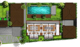 Elite Cassia