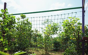 The Vana Valley Retreat