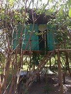 Mida Creek Nature Camp