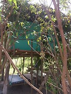 Mida Creek Nature Camp