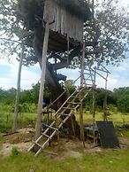Mida Creek Nature Camp