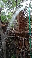Mida Creek Nature Camp