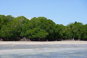 Mida Creek Nature Camp
