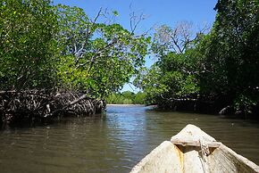 Mida Creek Nature Camp