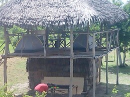 Mida Creek Nature Camp