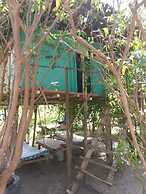 Mida Creek Nature Camp