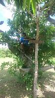 Mida Creek Nature Camp