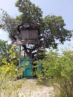Mida Creek Nature Camp