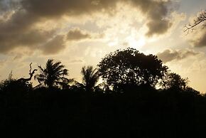Mida Creek Nature Camp