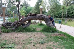 Hotel Imilchil