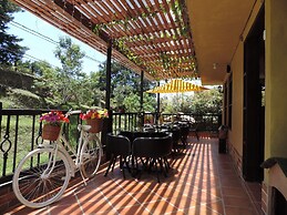 Oak Tree Hostel