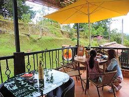 Oak Tree Hostel