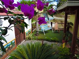 Oak Tree Hostel
