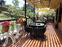 Oak Tree Hostel