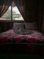 Matus Guest House