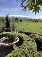 Mole Creek Hideaway