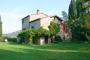 Olivo