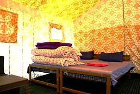 Marmote Camps - Sarchu