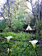 Magical Teepee Experience Hogsback - Glamping
