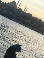 Istanbul Teras