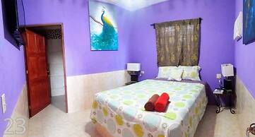 Windmill Hostel