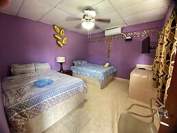 Windmill Hostel