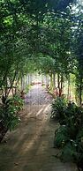 Hug Jang Loei Garden