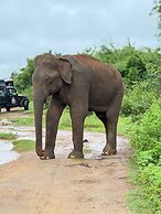Wildlife Safari House