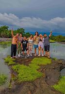 Wildlife Safari House