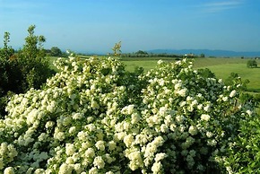 Tenuta S. Agnese