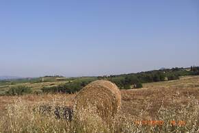 Tenuta S. Agnese
