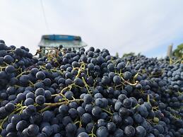 Tenuta S. Agnese