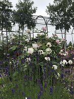 Ritz Garden Niji