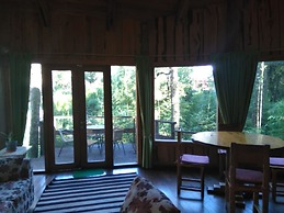 Patagonia Mawida