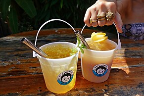 Mad Monkey Hostel Siargao - Adults Only