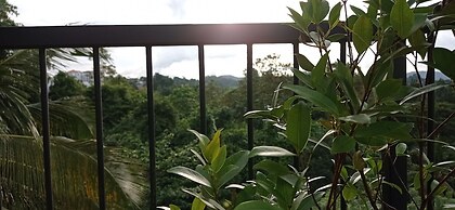 Villa Forest View