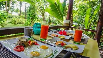 Island Plantation