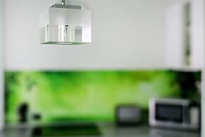 Zirnyi 9 Apartment