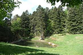 Chateau des Faugs