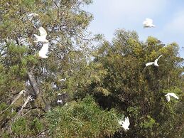 Gilligan's Kangaroo Island