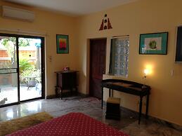 Lonops Paradise