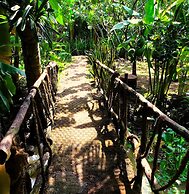 Ben Tre Farm Stay