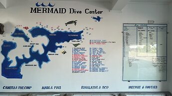Mermaid Diver