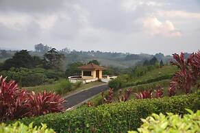 Mountain Lodge CheTica