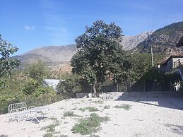 Vila Disha