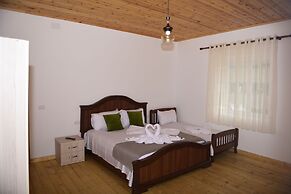 Vila Disha