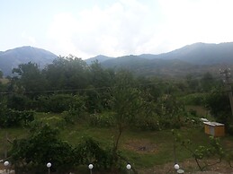 Vila Disha