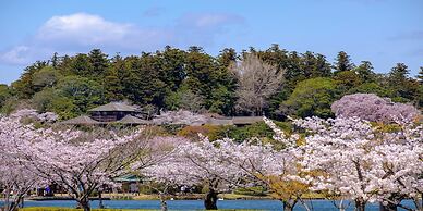 Kamenoi Hotel Oarai