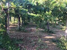 B&B Azienda Perconti